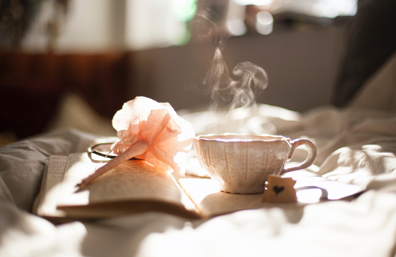 Tea cup on book with the sun shining