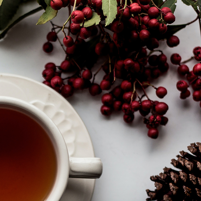 Tea Cup on Table